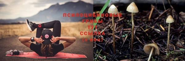 шишки Кулебаки